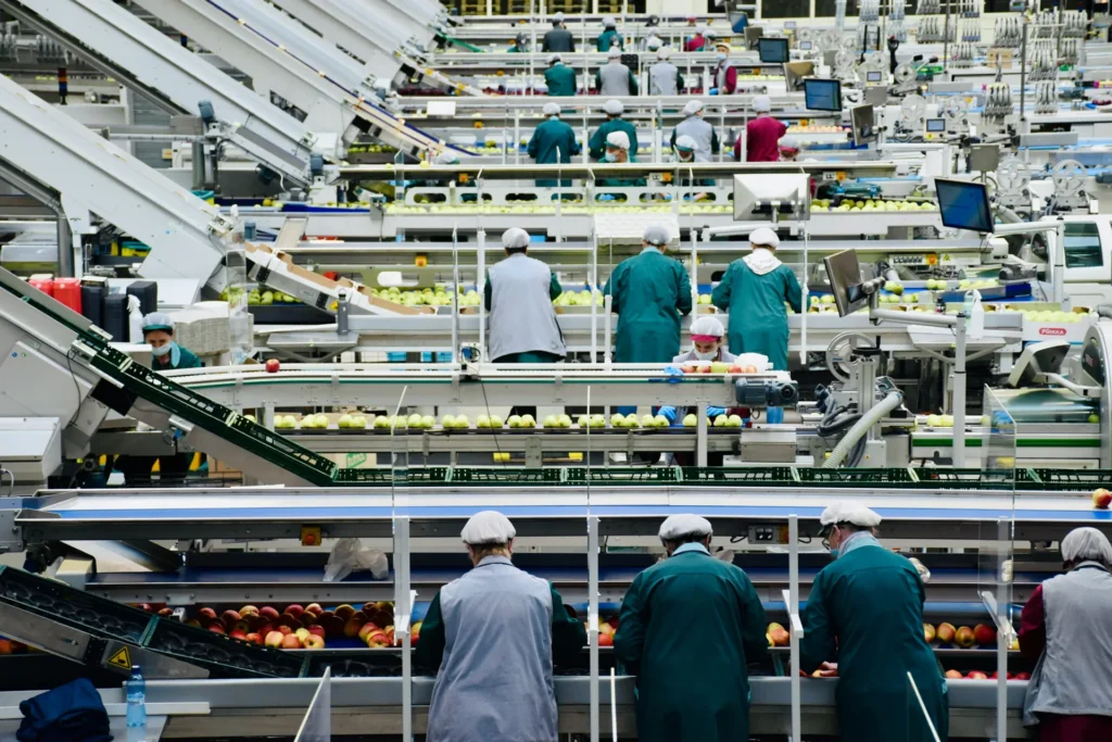 Workers sorting produce on an FMCG processing line
